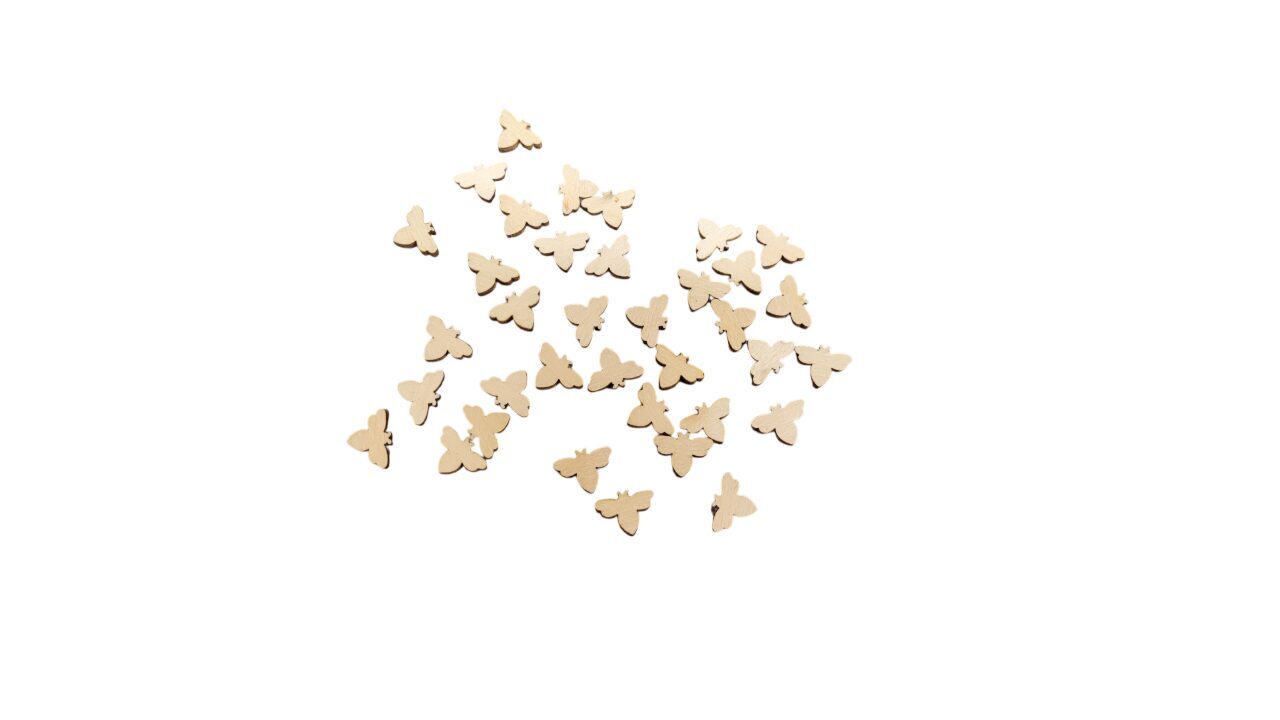 Mini koka bites | 15x10x3mm |