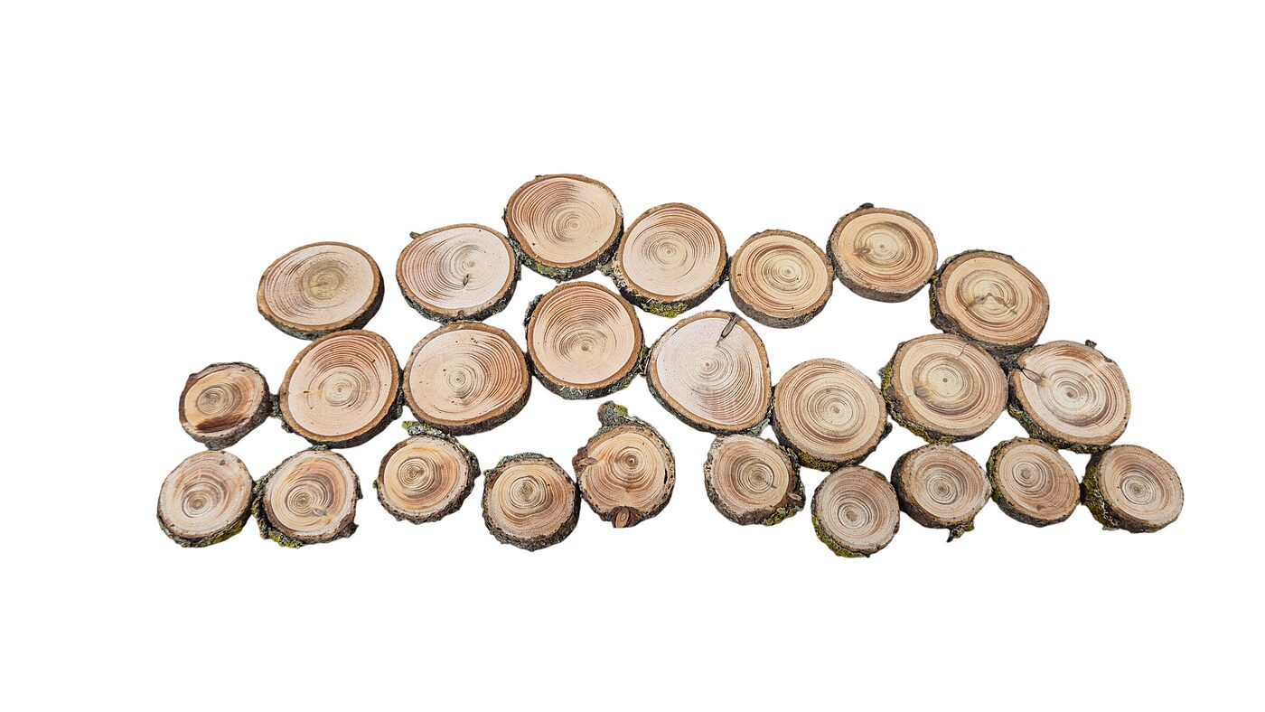 Mini koka ripas | 30 gab