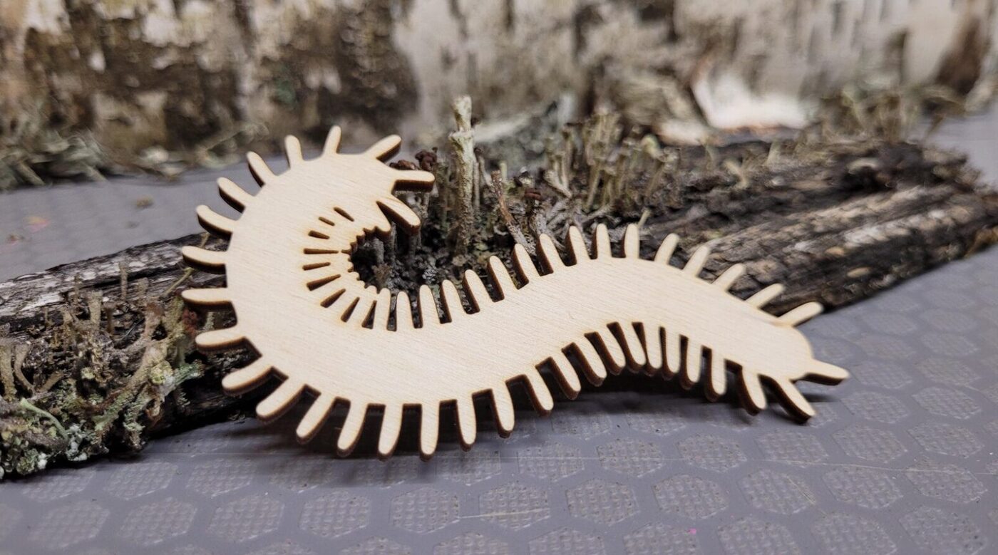 Tārpa siluets | 100x54x3mm