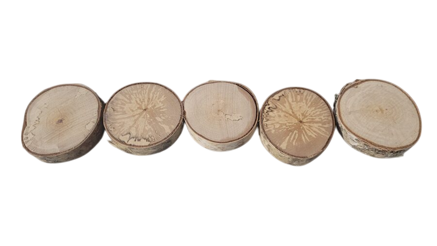 Slīpēta koka ripa | 40-60mm Diametrs