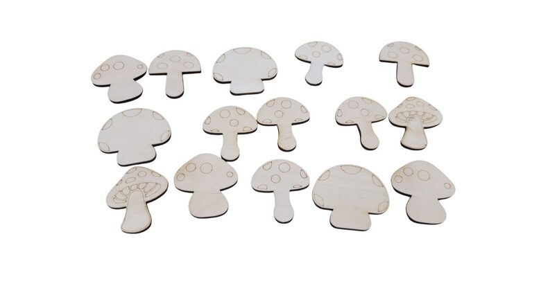 Koka Sēnes "Mix" | 15 gab | 40mm augstums