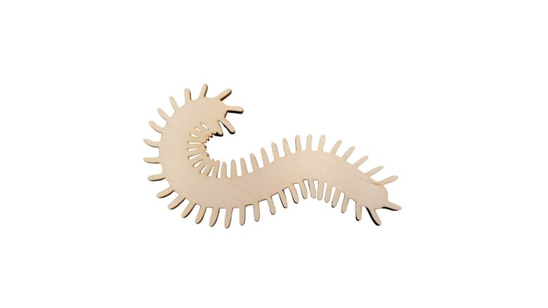 Tārpa siluets | 100x54x3mm