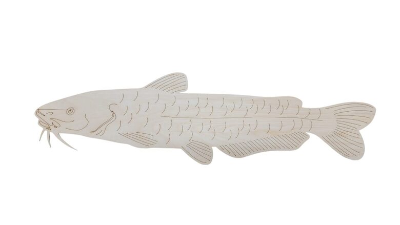 Koka zivs "Sams" | 600x165x3mm