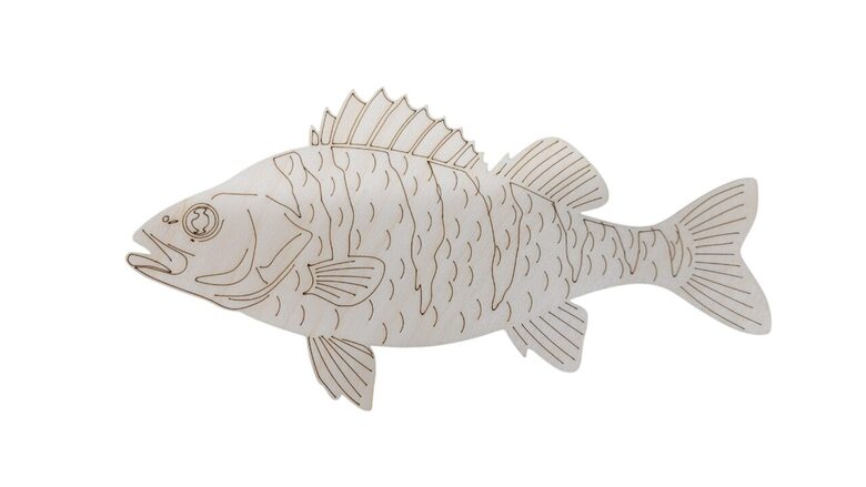 Koka zivs "Asaris" | 275x140x3mm