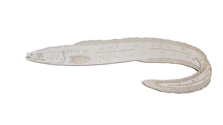 Koka zivs "Zutis" | 340x110x3mm