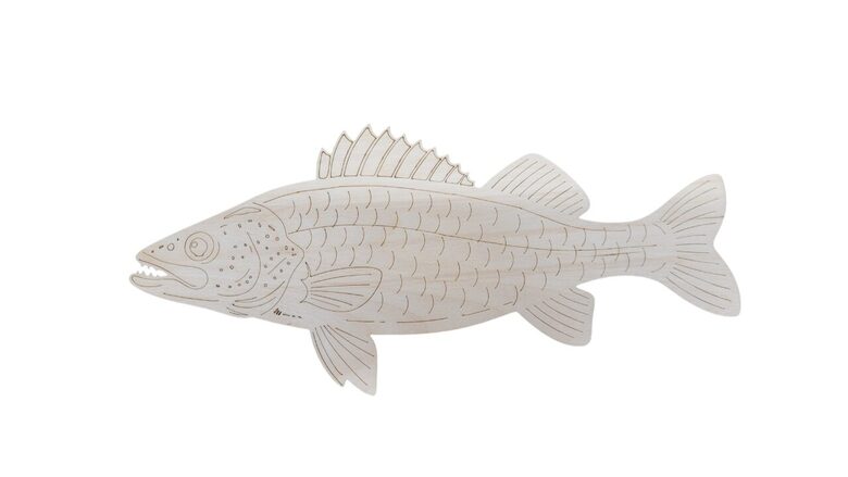 Koka zivs "Zandarts" | 380x175x3mm