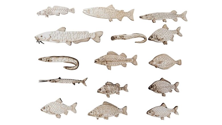 Latvijas zivis "Mix" | 15 gab.