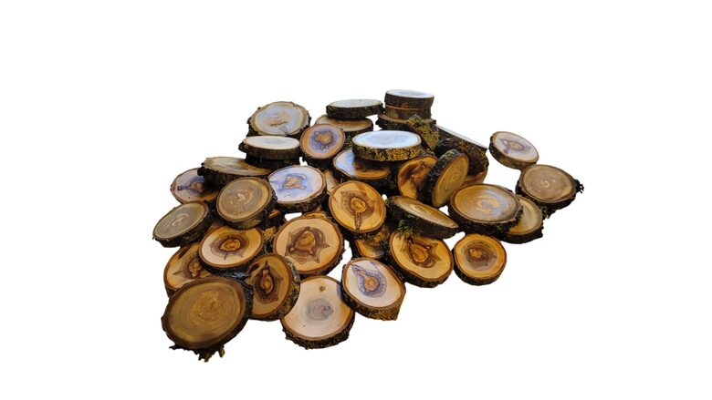 Rondelles de bois fraîchement sciées « Mix » | 50 pièces | 30–60 mm