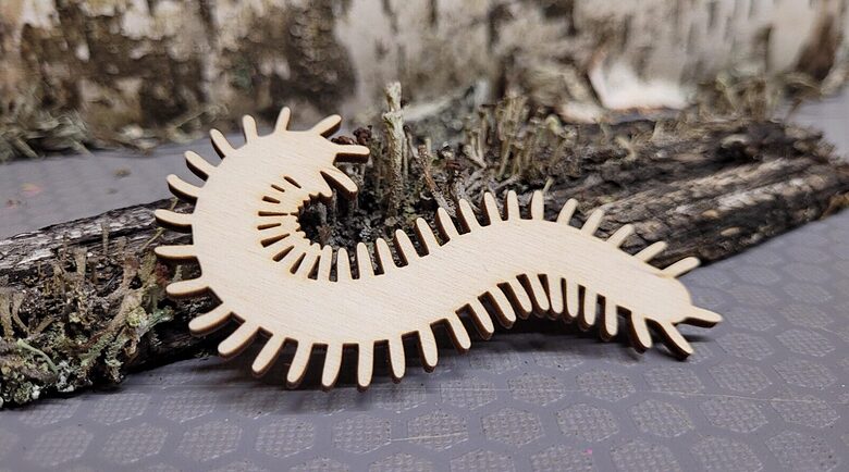 Sylwetka robaka | 100x54x3 mm