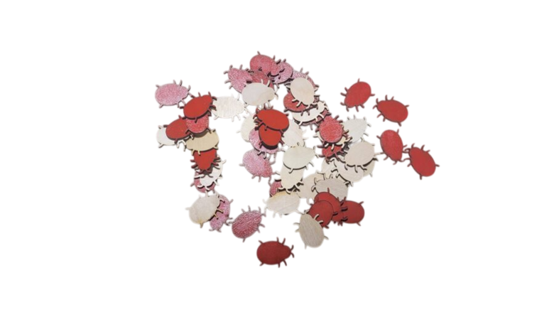 Koka Bizbizmārītes (30gab.)