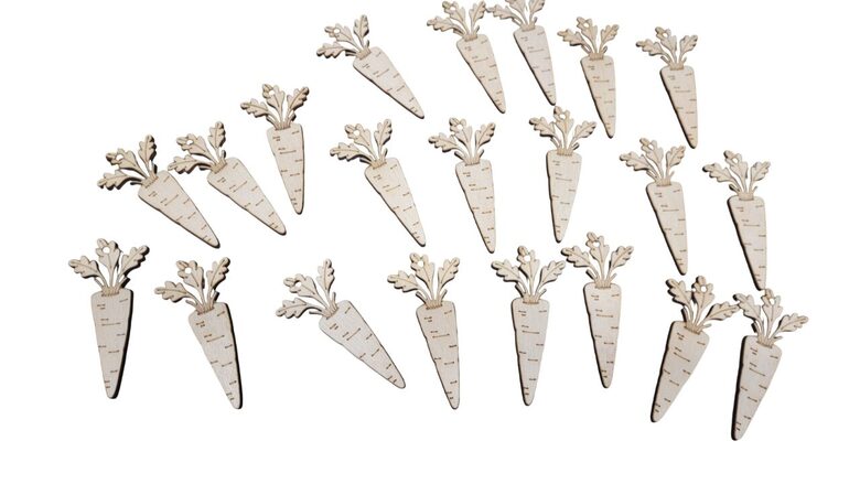 Koka burkāni | 20 gab. | 66x31x3mm