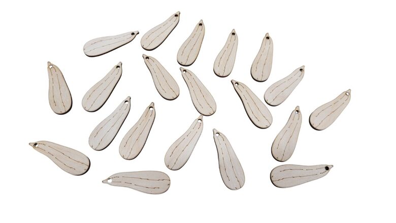 Koka Kabači | 20 gab. | 56x19mm