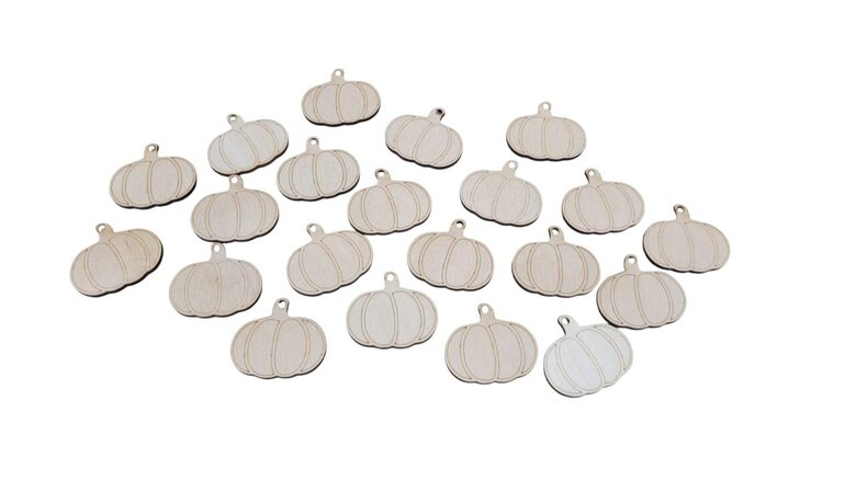 Koka ķirbji (20gab.)