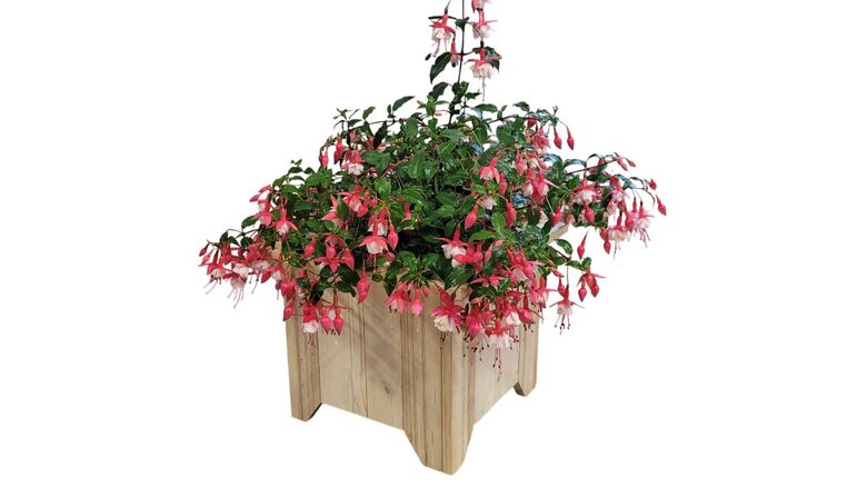 Koka Puķu Kaste | 380x380x320mm