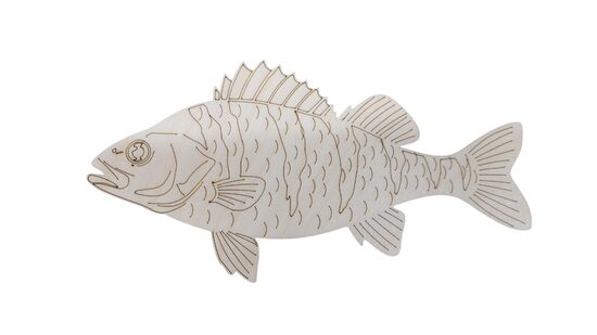 Koka zivs "Asaris" | 275x140x3mm