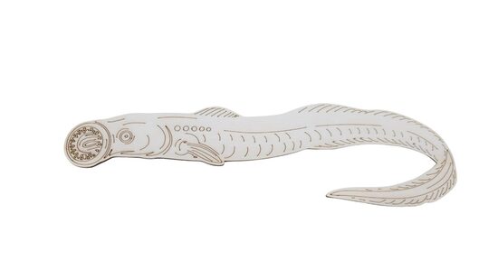 Koka zivs "Upes nēģis" | 320x90x3mm