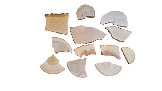 Šķeltas koka plāksnes | 10 gab.