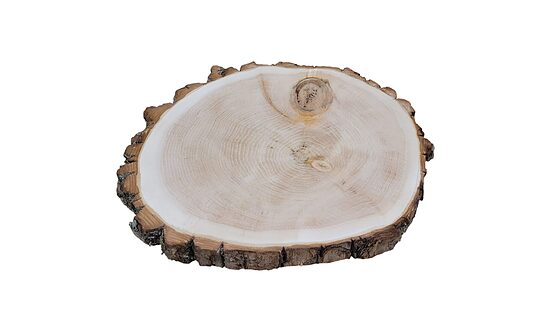 Disque en bois poncé | 100–350 mm