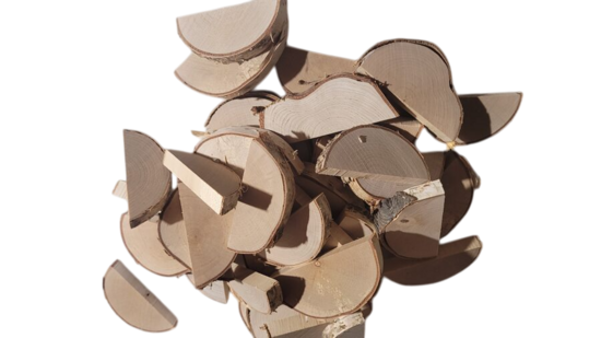 Bērza Plāksnītes