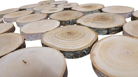 Houten schijf | Diameter 40–60 mm