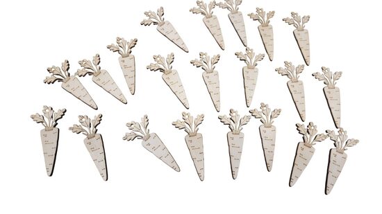 Koka burkāni | 20 gab. | 66x31x3mm